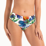 Spodné nohavičky Style Mira 8478-0 multi color - Anita Classix 009 multi colour 38