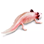 Safari Ltd. Safari Ltd. Figúrka - Axolotl