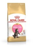 Royal Canin Cat Main Coon Kitten