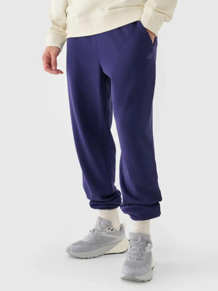 Pánske tepláky 4F XXL