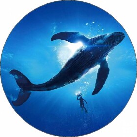 Jedlý papier veľryba 19,5 cm - Pictu Hap - Pictu Hap