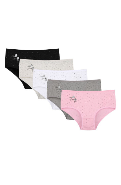 Nohavičky Donella 2581B45 A'2 L-4XL směs barev XXL