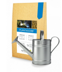 Symbiom mykorhízne huby Plantasorb 750 g