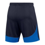 Šortky Nike Dri-FIT Academy Pro M DH9236-451 XXL (193 cm)