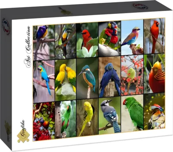 GRAFIKA Puzzle Najkrajšie vtáky sveta