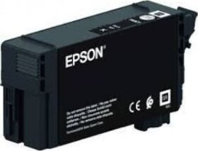 Epson Toner T40C140 (black)