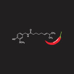 Dámske tričko, chilli, XL