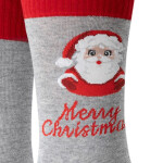 Pánske ponožky 136 167 - Steven šedá 41/43