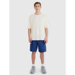 Pánske šortky regular fit SHOM543-031S modré - 4F L