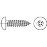 TOOLCRAFT 147659 šošovkové skrutky do plechu 5.5 mm 38 mm krížová dražka Pozidriv ocel glavanizované zinkom 100 ks; 147659