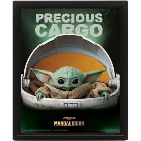 Pyramid International 3D obraz Mandalorian Precious Cargo