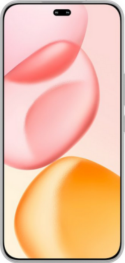 Honor 400 Pro 17 cm (6.7") MagicOS 9.0 5G 12 GB 512 GB 5300 Grey