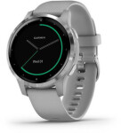 Garmin Vivoactive 4S Sivý (010-02172-02)