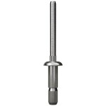 Gesipa 1455663 slepý nit ocel ocel 200 ks; 1455663