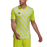 Pánsky dres Entrada 22 Graphic Jersey Adidas