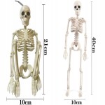 Verk Ľudská kostra skelet 40 cm halloween dekorácie