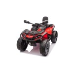 Mamido Detská elektrická štvorkolka Can-Am Outlander ATV 4x200W červená