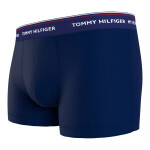 Tommy Hilfiger Spodky UM0UM016420Y0 Navy Blue