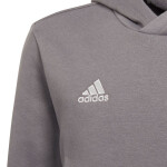 Entrada 22 Hoody Jr Adidas