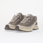 Tenisky Salomon XT-Pathway 2 Gull/ Ftw Silver/ Lilaca EUR 40