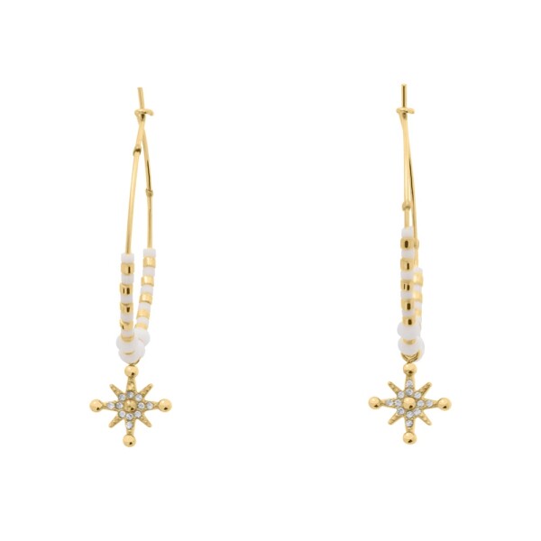 Pierre Lannier Elegantné kruhové náušnice s príveskom hviezdy Antharea BJ25A2211