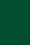 Dámsky rolák 42438S Keep Hot Dark Green - Gatta S tmavě zelená