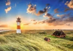 Trefl - Puzzle - Premium PLUS Photo Odyssey: Maják Ost na ostrove Sylt