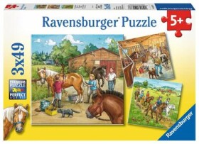 Ravensburger Deň s koňmi