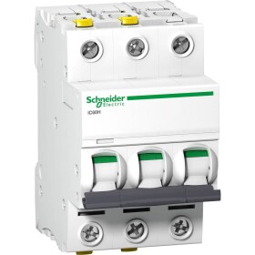 Schneider Electric A9F07306 A9F07306 elektrický istič 6 A 400 V; A9F07306