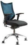 Spinergo Office modrá
