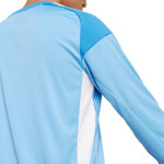 Adidas Tiro 25 Competition Brankársky dlhý rukáv M JI9722 pánske tričko 2 XL