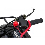Mamido Detská benzínová štvorkolka RamiGO WILDPEAK 110CC čierna