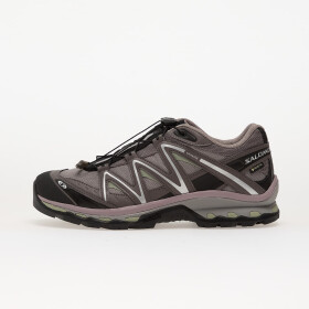 Tenisky Salomon XT-Quest Gtx Gull/ Plum Kitten/ Black EUR 44 2/3