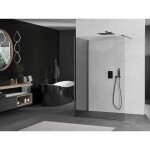 MEXEN/S - Kyoto Sprchová zástena WALK-IN 100 x 75, transparent, grafit kartáčovaná 800-100-212-66-00-075