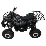 Mamido Detská benzínová štvorkolka RamiGO WILDPEAK 110CC čierna