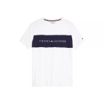 Pánske tričká CN SS TEE LOGO FLAG UM0UM01170100 - Tommy Hilfiger LG