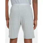 Pánske šortky JERSEY SHORT UM0UM01203004 Tommy Hilfiger