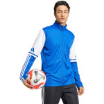 Mikina adidas Squadra 25 Training M JD2980 men S