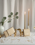 PBG Card Holder Ivory