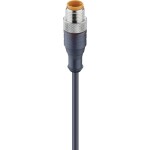 Lumberg Automation RST 4-225/2 M upravený zástrčkový konektor pre senzory - aktory, 11809-1, piny: 4, 2.00 m, 1 ks; 11809-1