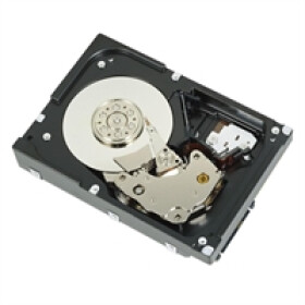 Dell 2 TB 3.5'' SAS-1 (3Gb/s) (R755K)