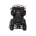 Mamido Detská benzínová štvorkolka RamiGO WILDPEAK 110CC čierno-červená