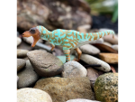 Safari Ltd. Safari Ltd. Figúrka - Albertosaurus