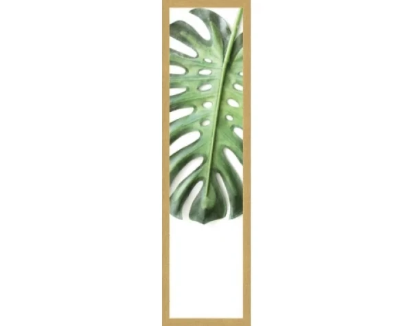 Rámovaný obraz Zelený list, 15x60 cm%