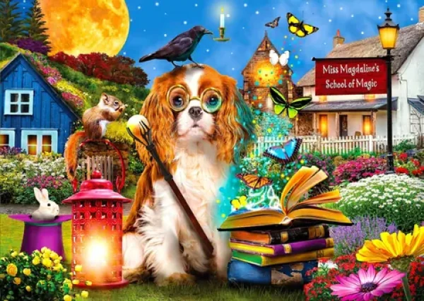ENJOY Puzzle Škola kúziel