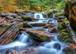 ENJOY Puzzle Lesná riečka na jeseň