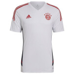Pánske tréningové tričko FC Bayern M HB0621 white - Adidas S