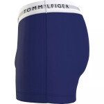 Pánske boxerky 3P TRUNK PRINT UM0UM02768 0W2 modré Tommy Hilfiger