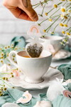 TEA HERITAGE Čaj Rooibos s príchuťou Galette des rois / Strawberies – 5 ks