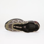 Tenisky Salomon XT-WHISPER GTX Silves/ Huckle/ Maroob EUR 45 1/3